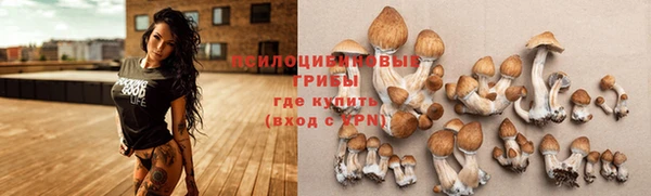амф Новокубанск