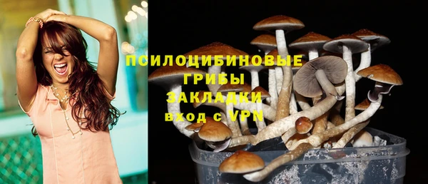 трава Новодвинск