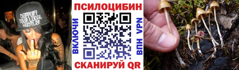 Псилоцибиновые грибы мухоморы  Арск 